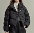 画像6: Short French Down Jacket Coat　フレンチスタイルショート丈ダウンジャケット コート (6)